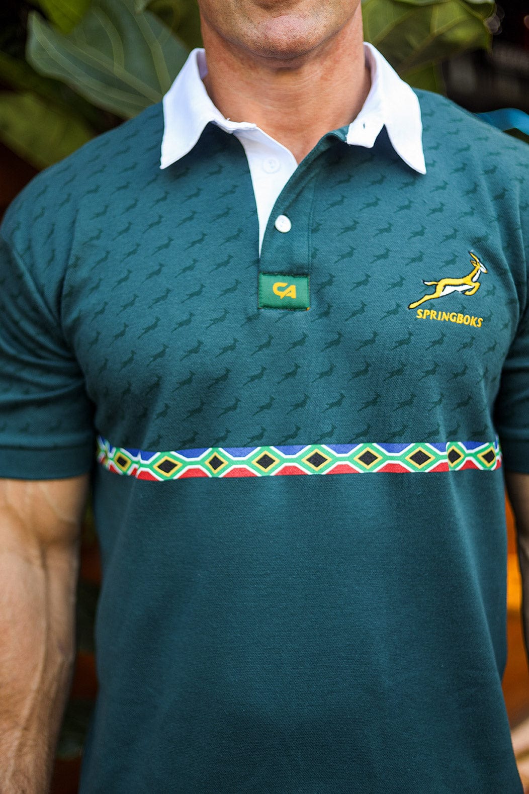 Custom Apparel Men's Supporters Jersey | Springbok